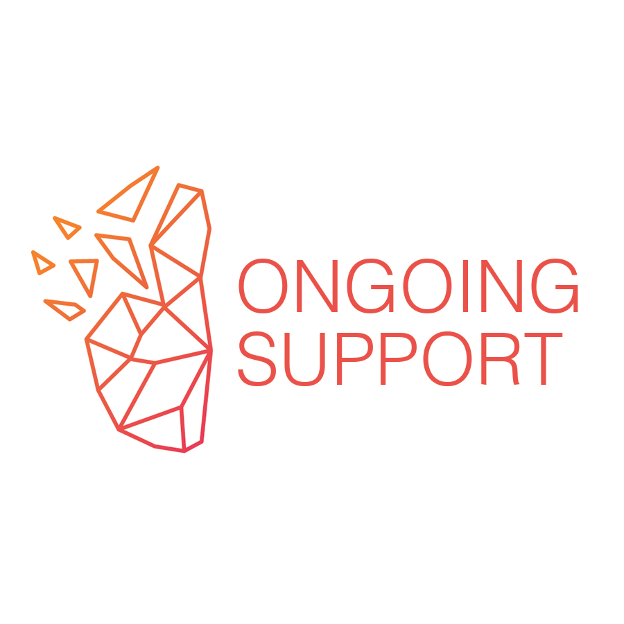 Ongoing Brain Injury Support (Monthly subscription)